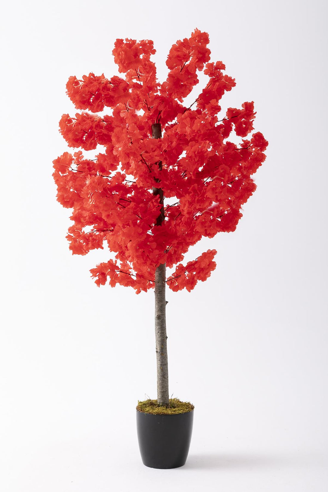 Yapay Bahar Dalı Ağacı 150 Cm 30 Dal Kırmızı