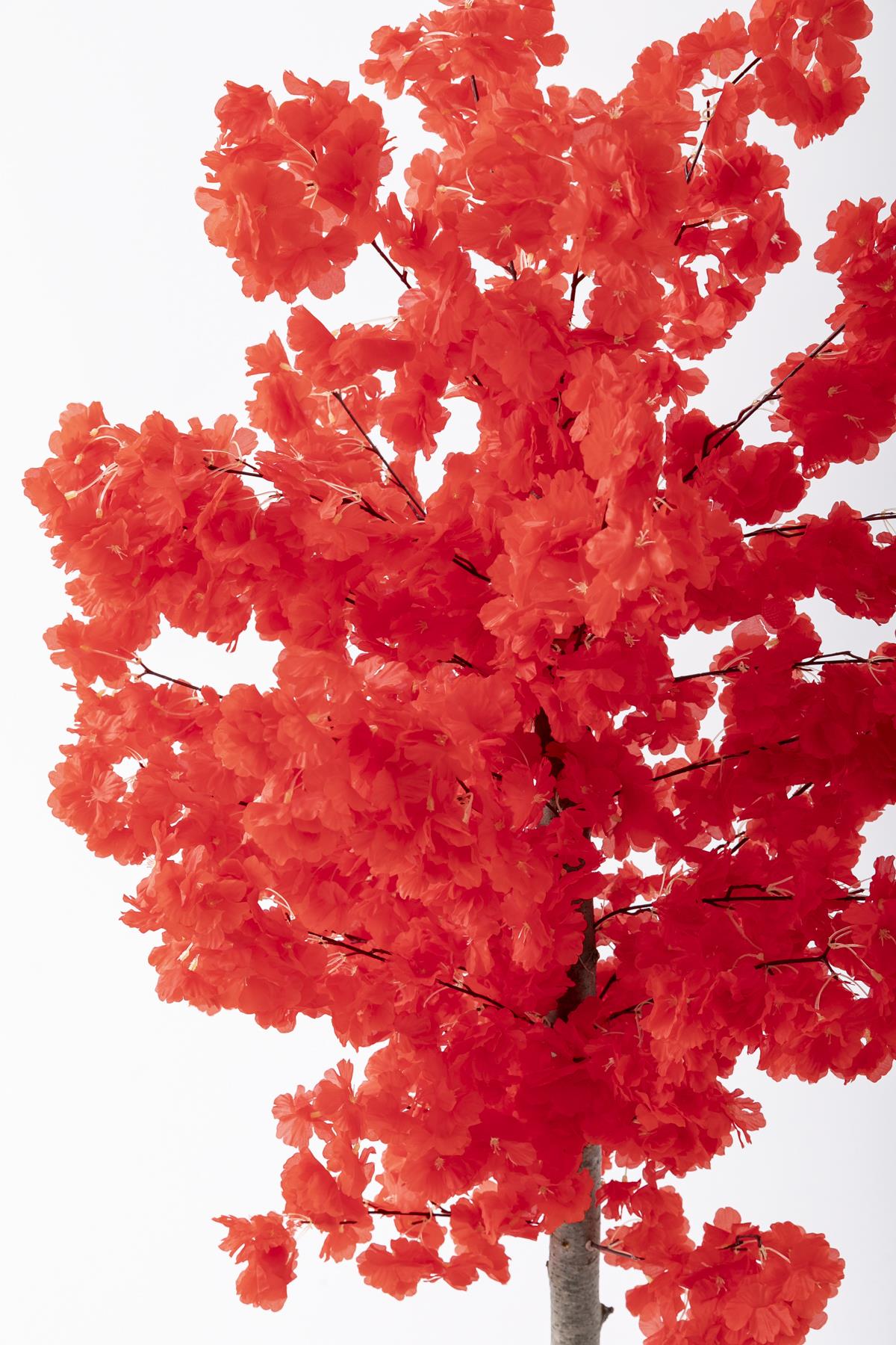 Yapay Bahar Dalı Ağacı 150 Cm 30 Dal Kırmızı