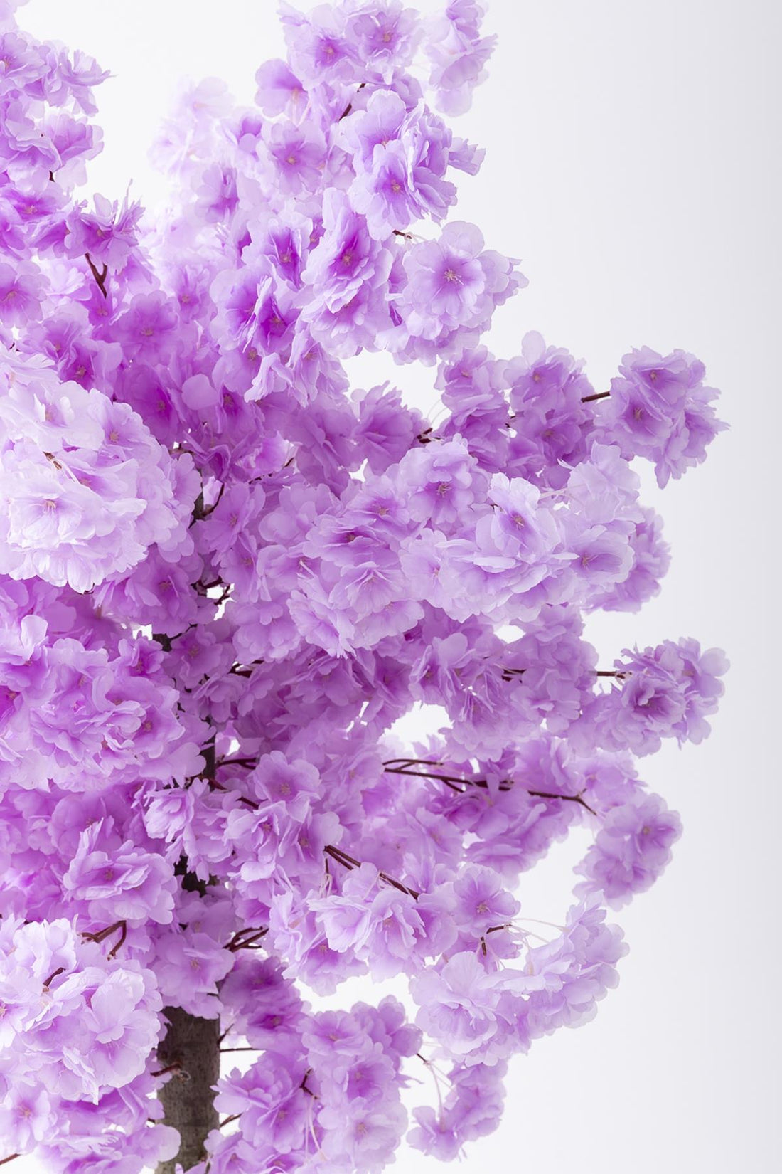 Yapay Bahar Dalı Ağacı 150 Cm 30 Dal Mor