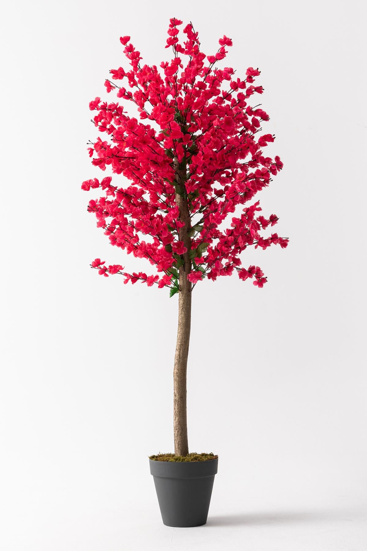 Yapay Bahar Dalı Ağacı Fuşya 180 Cm 81 Dal