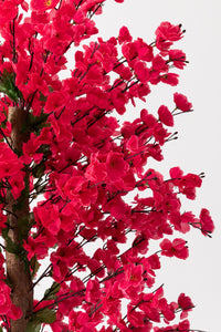 Yapay Bahar Dalı Ağacı Fuşya 180 Cm 81 Dal