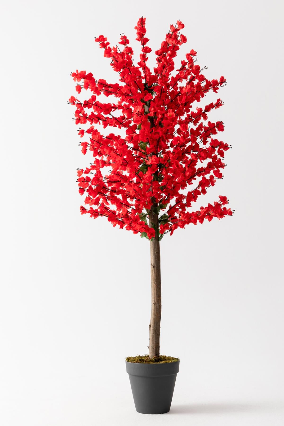 Yapay Bahar Dalı Ağacı Kırmızı 180 Cm 81 Dal