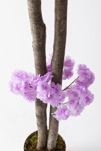 Yapay Bahar Dalı Ağacı Mor 130 cm
