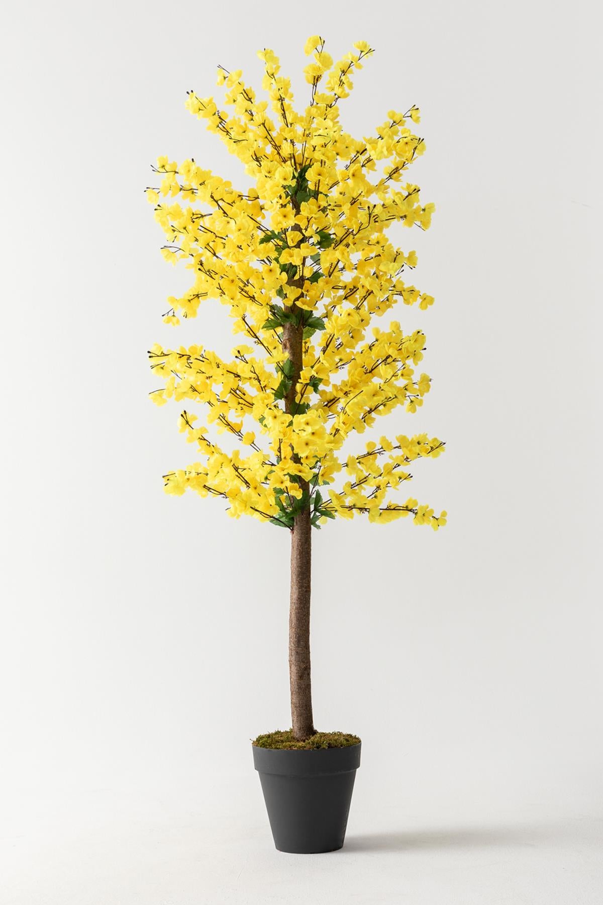 Yapay Bahar Dalı Ağacı Sarı 180 Cm 81 Dal