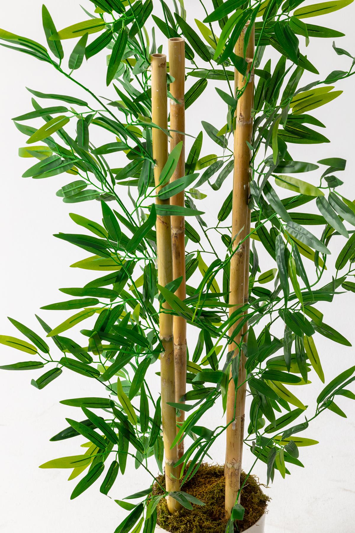 Yapay Bambu Ağacı 130 Cm