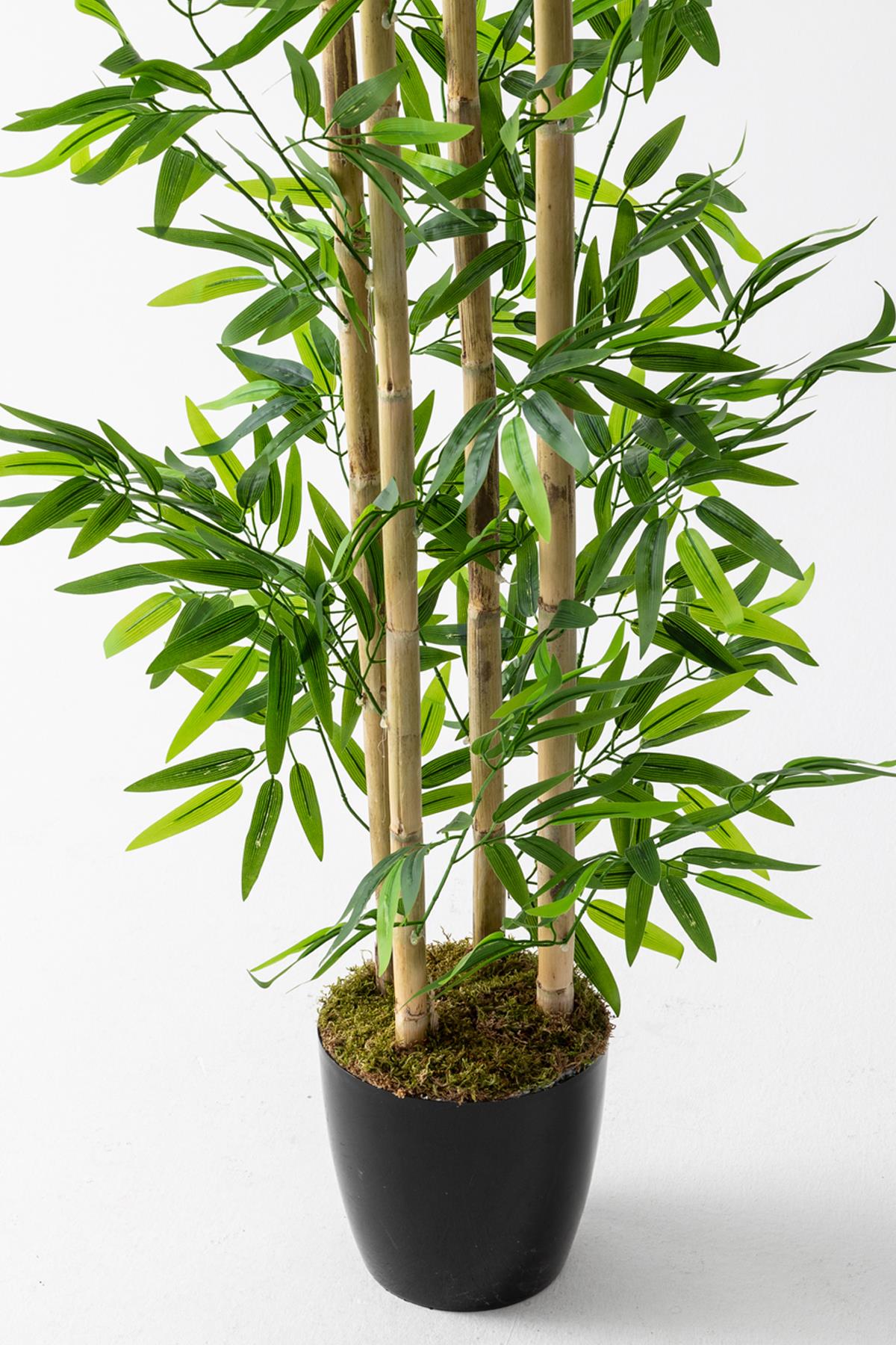 Yapay Bambu Ağacı 180 cm