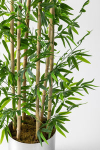 Yapay Bambu Ağacı 185 Cm