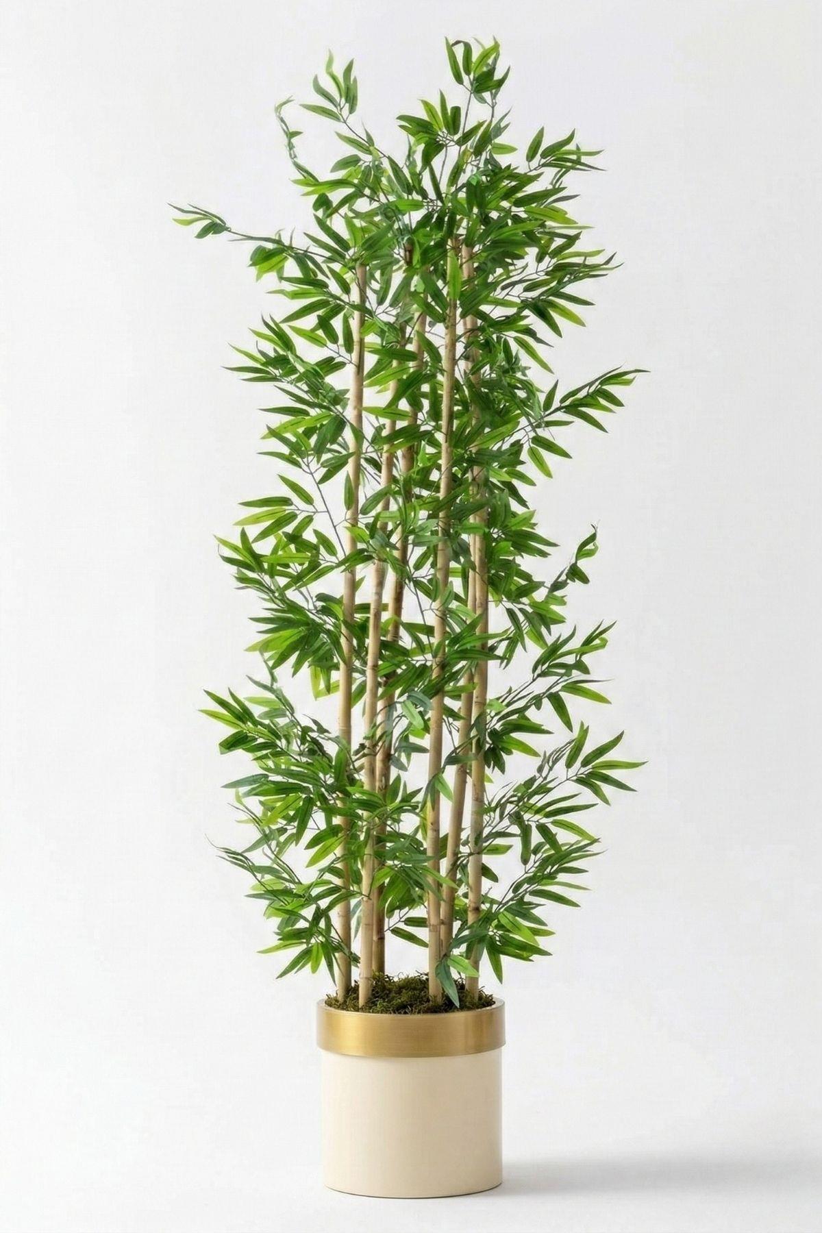 Yapay Bambu Ağacı 185 Cm