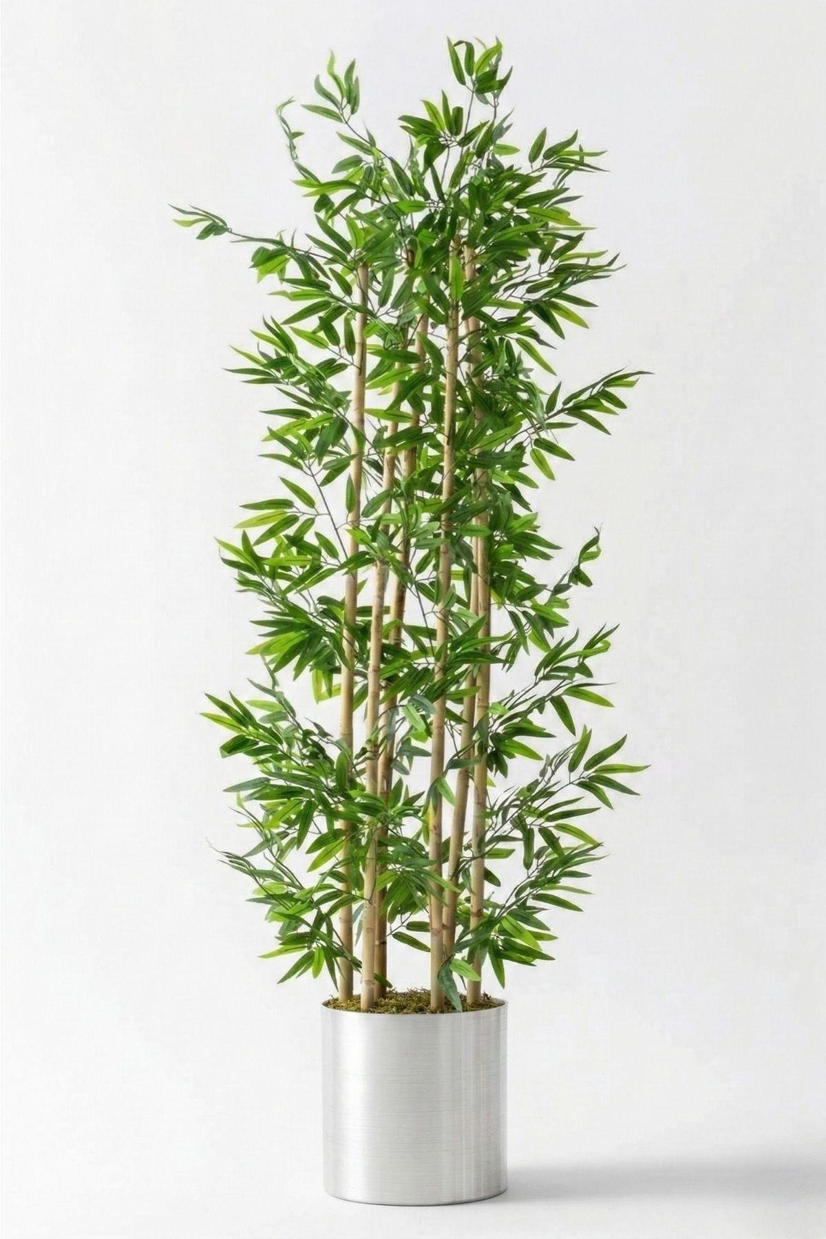 Yapay Bambu Ağacı 185 Cm