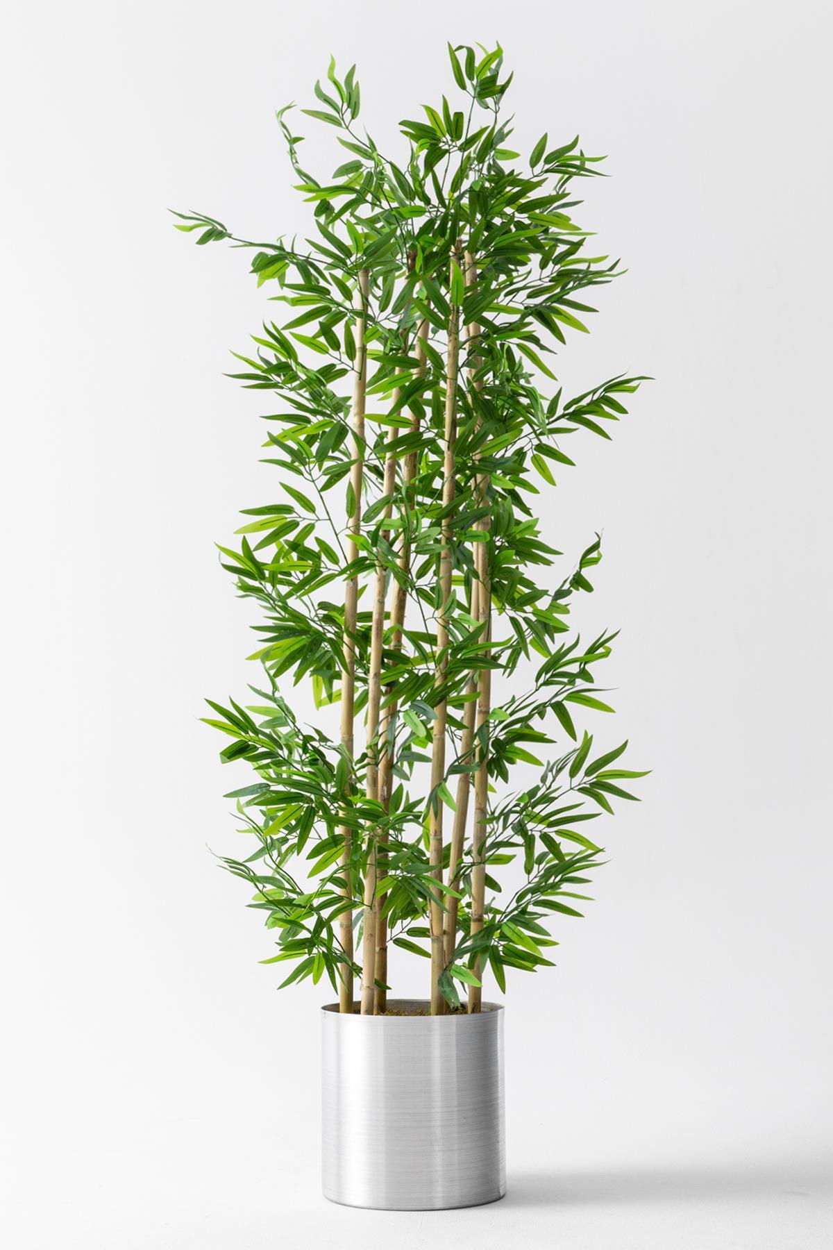 Yapay Bambu Ağacı 185 Cm