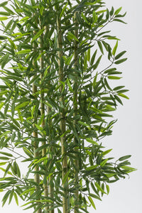 Yapay Bambu Ağacı 190 cm