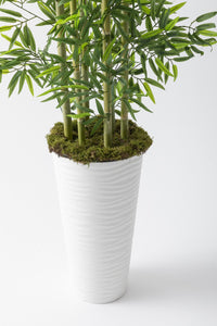 Yapay Bambu Ağacı 190 cm