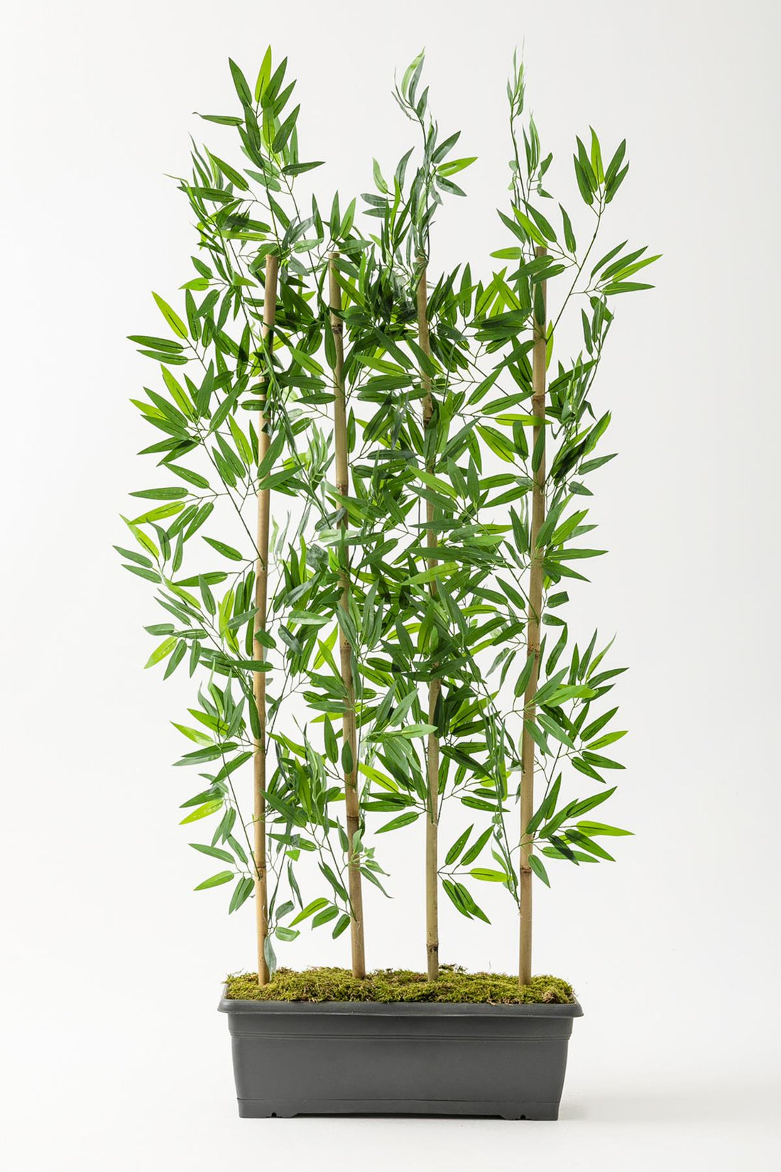 Yapay Bambu Seperatör 150 Cm Plastik Antrasit Saksı