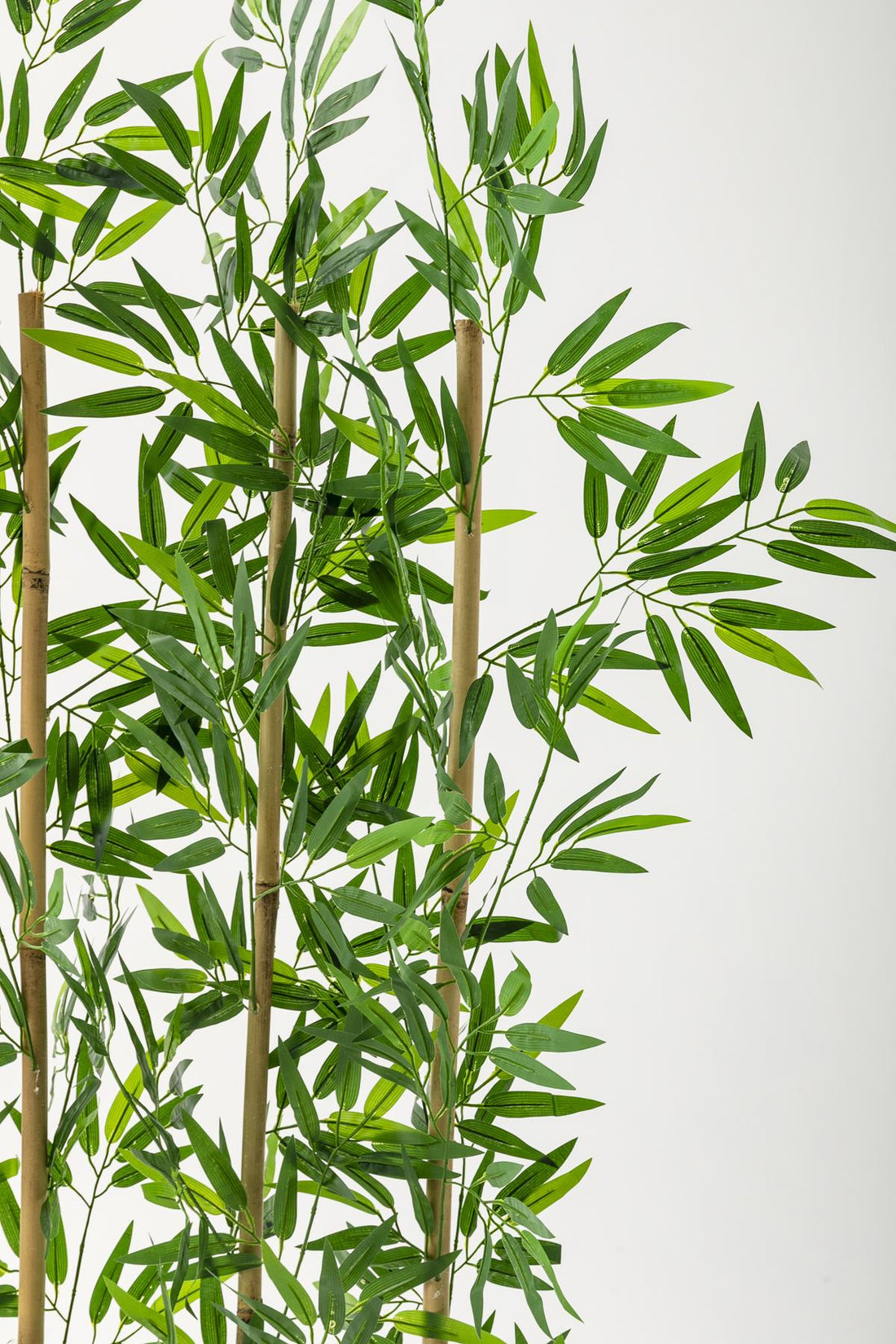 Yapay Bambu Seperatör 175 Cm 5 Çubuklu Plastik Saksı