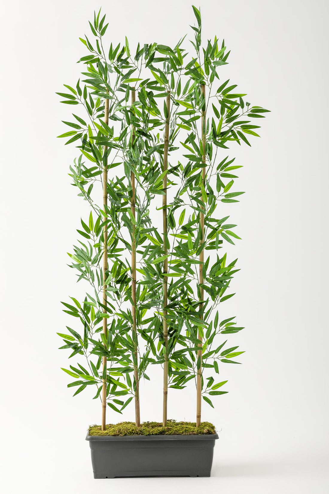 Yapay Bambu Seperatör 175 Cm Plastik Antrasit Saksı