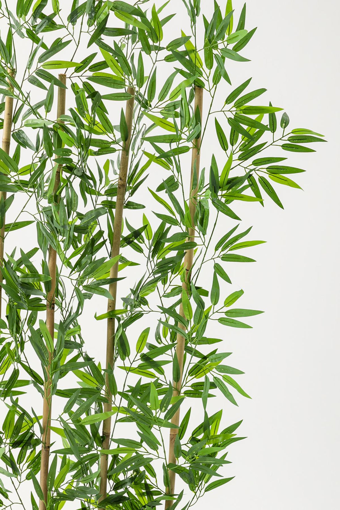 Yapay Bambu Seperatör 175 Cm Plastik Antrasit Saksı