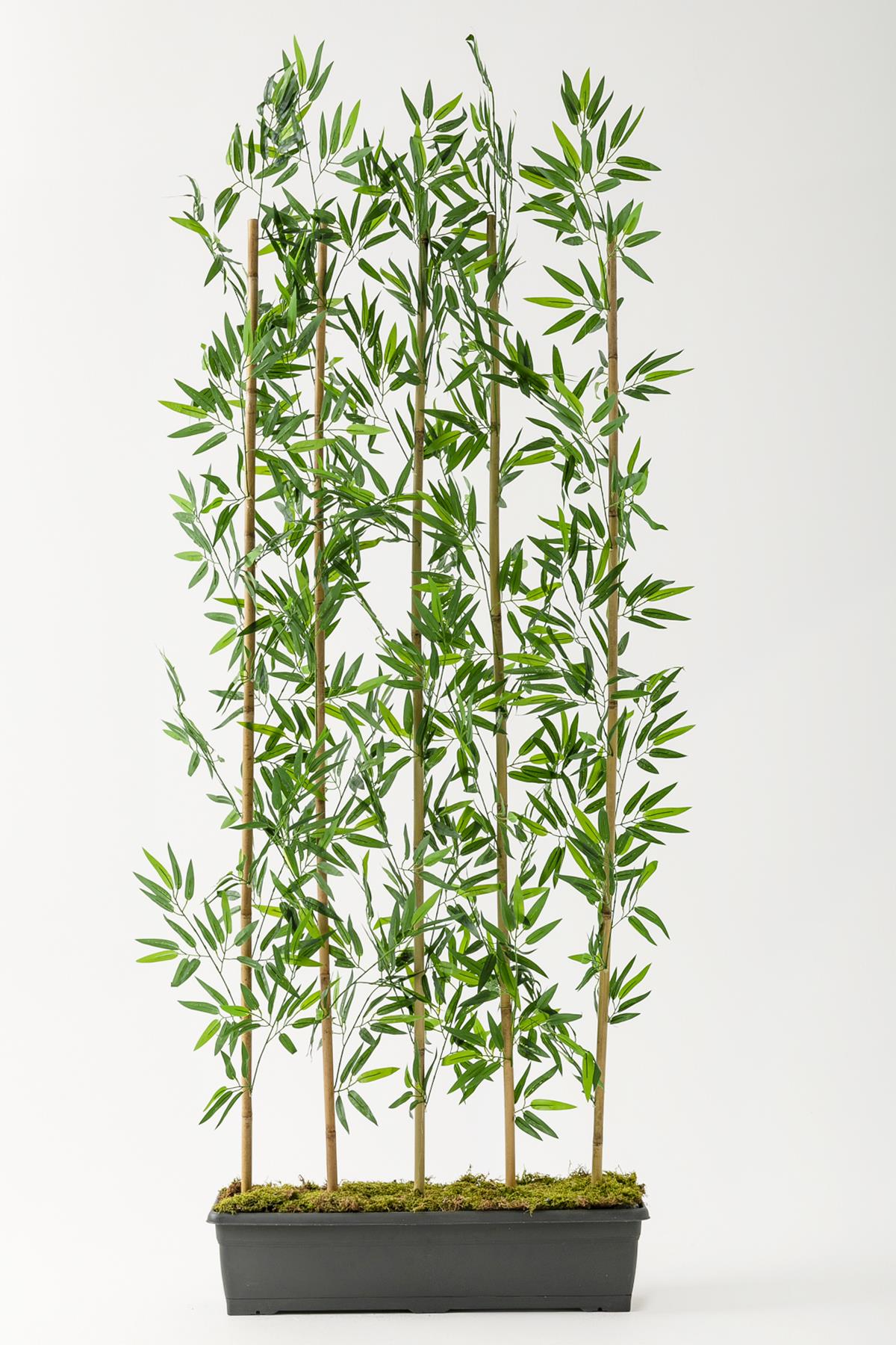 Yapay Bambu Seperatör 200 Cm 5 Çubuklu Plastik Saksı