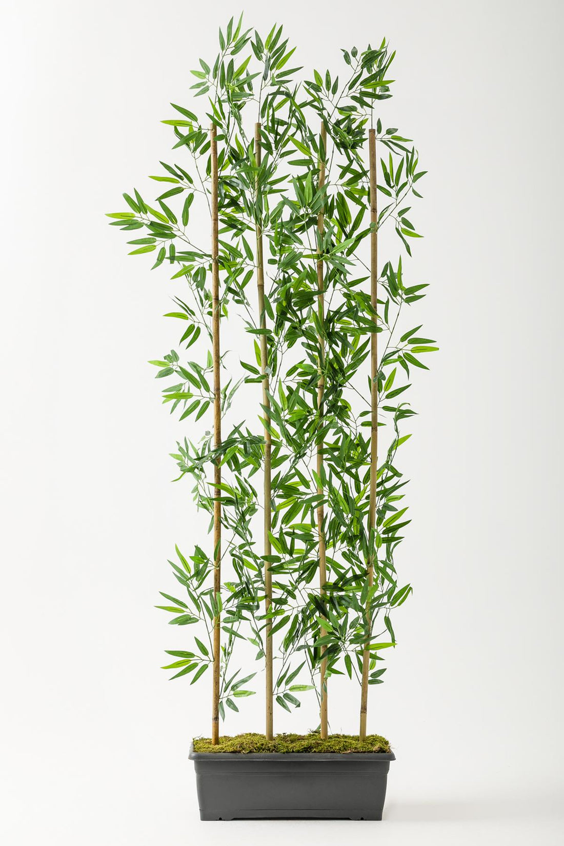 Yapay Bambu Seperatör 200 Cm Plastik Antrasit Saksı