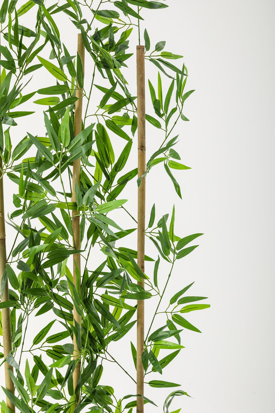 Yapay Bambu Seperatör 200 Cm Plastik Antrasit Saksı