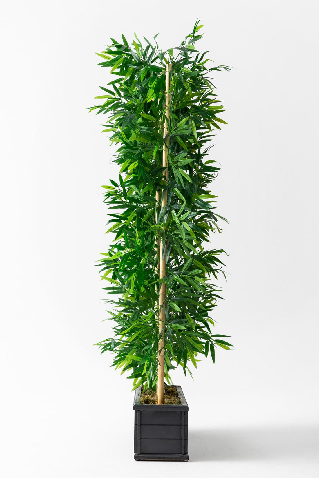 Yapay Bambu Seperatör Ahşap Antrasit Saksı 175 Cm