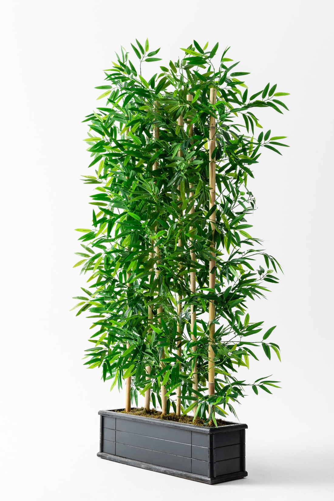 Yapay Bambu Seperatör Ahşap Antrasit Saksı 175 Cm