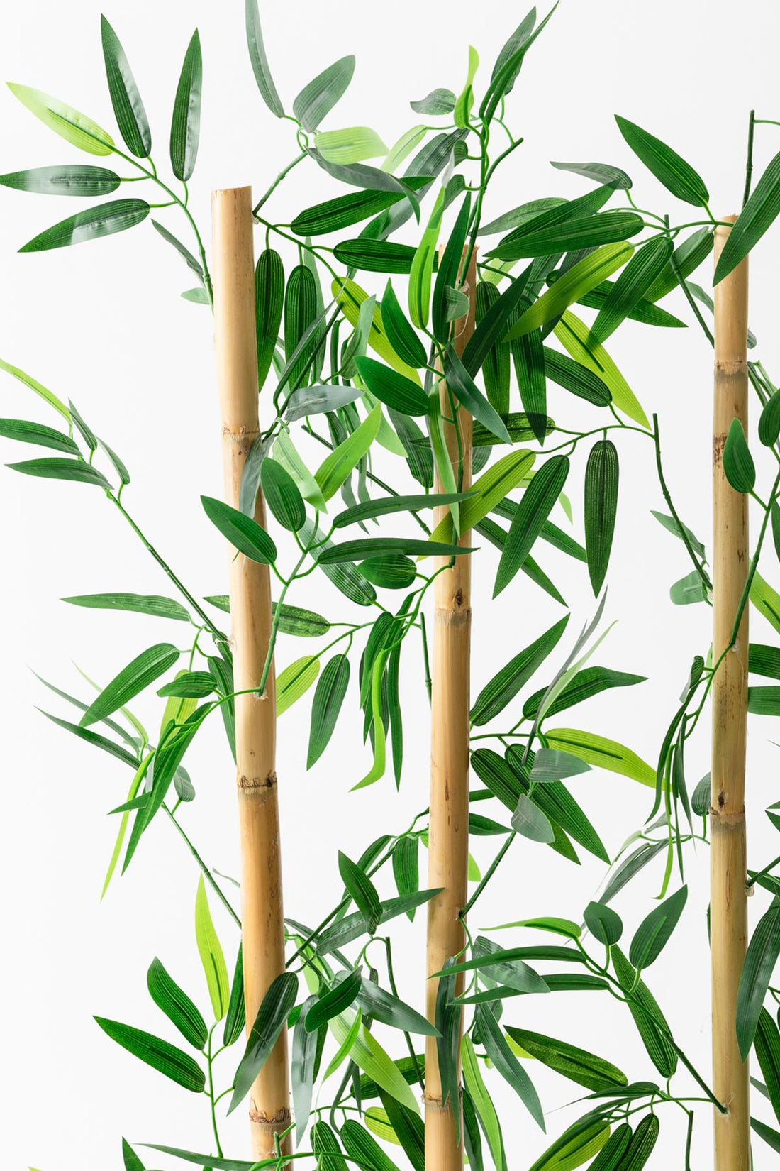 Yapay Bambu Seperatör Antrasit Saksılı 180 Cm