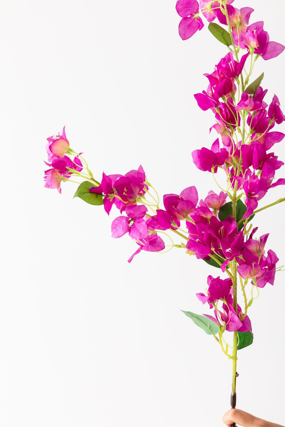 Yapay Begonvil 90 cm Mor