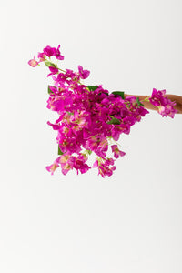 Yapay Begonvil 90 cm Mor