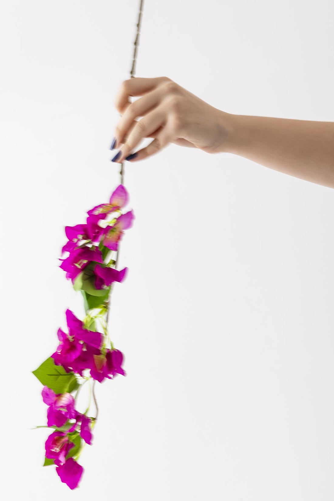 Yapay Begonvil Dalı 80 cm Mor