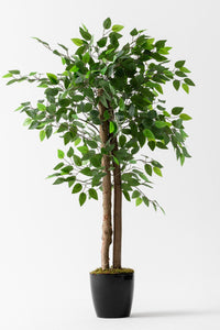 Yapay Benjamin Ağacı 130 Cm