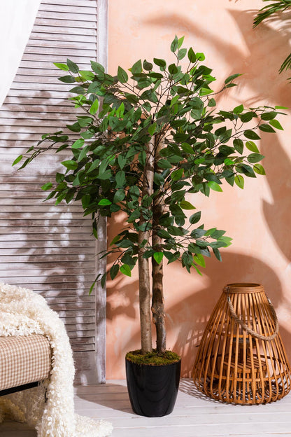 Yapay Benjamin Ağacı 130 Cm