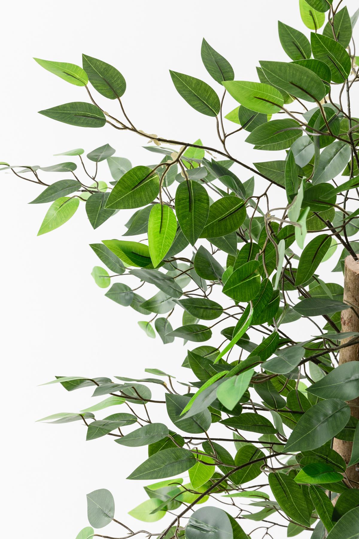 Yapay Benjamin Ağacı 130 Cm