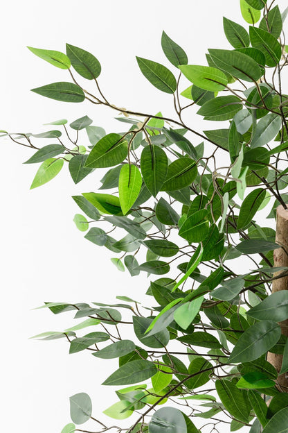 Yapay Benjamin Ağacı 130 Cm