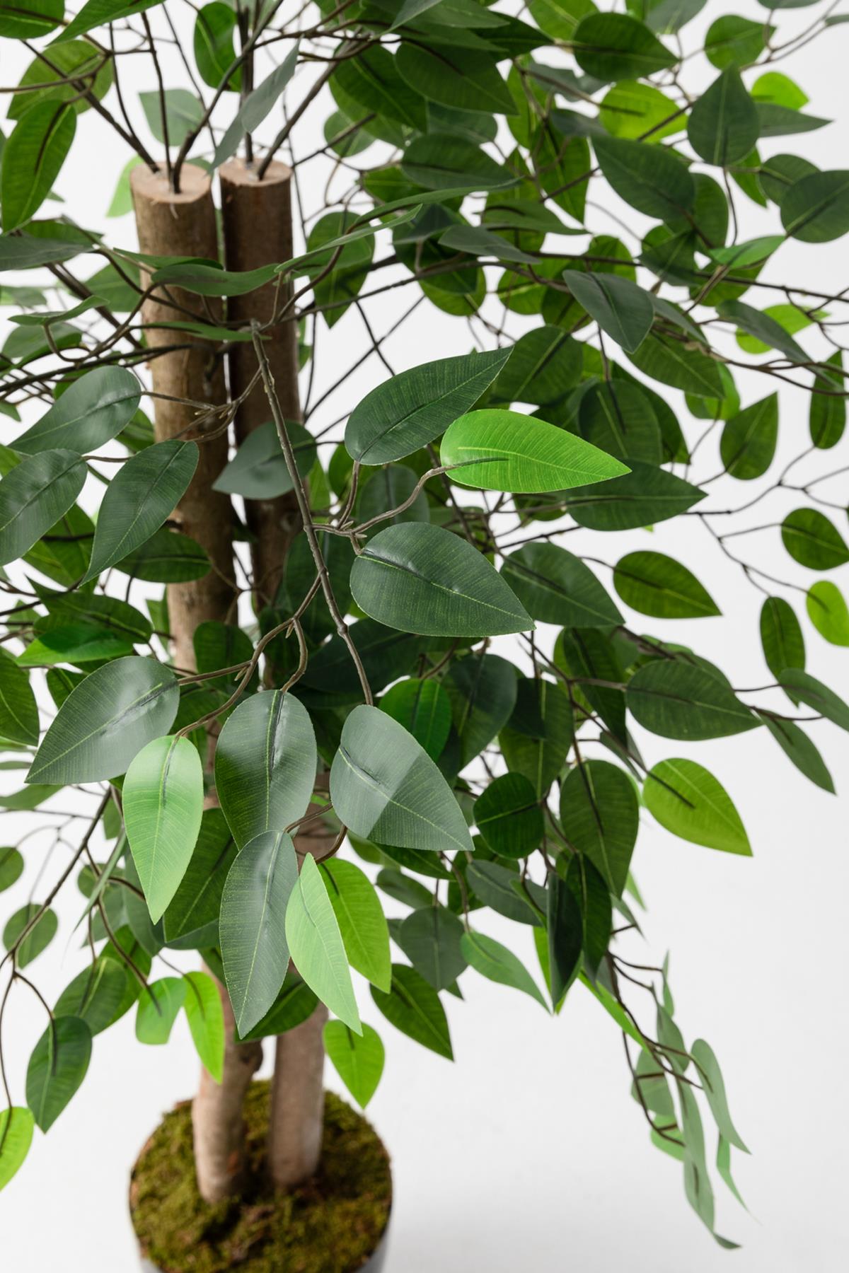 Yapay Benjamin Ağacı 130 Cm