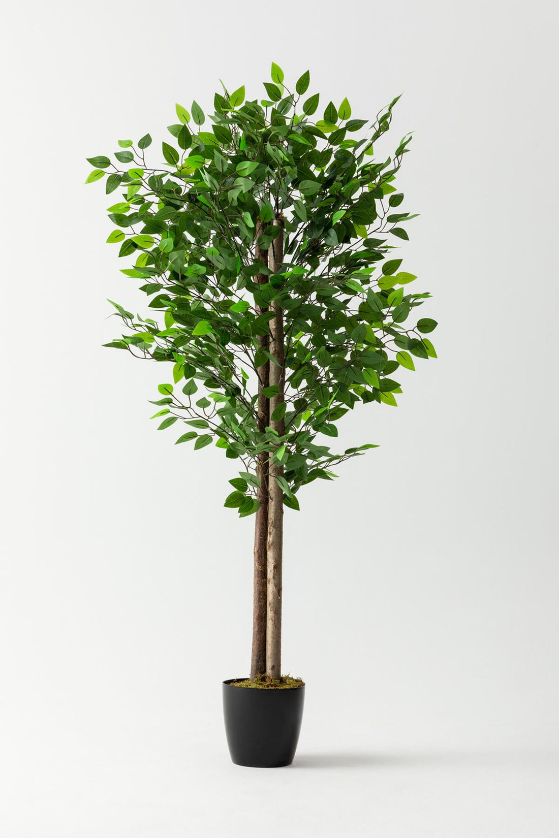 Yapay Benjamin Ağacı 160 Cm