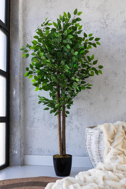 Yapay Benjamin Ağacı 160 Cm