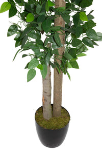 Yapay Benjamin Ağacı 160 cm 54 Dal