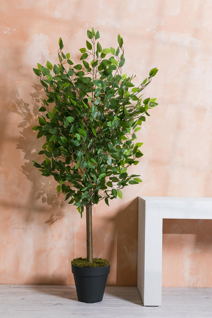 Yapay Benjamin Ağacı 160 Cm 72 Dal