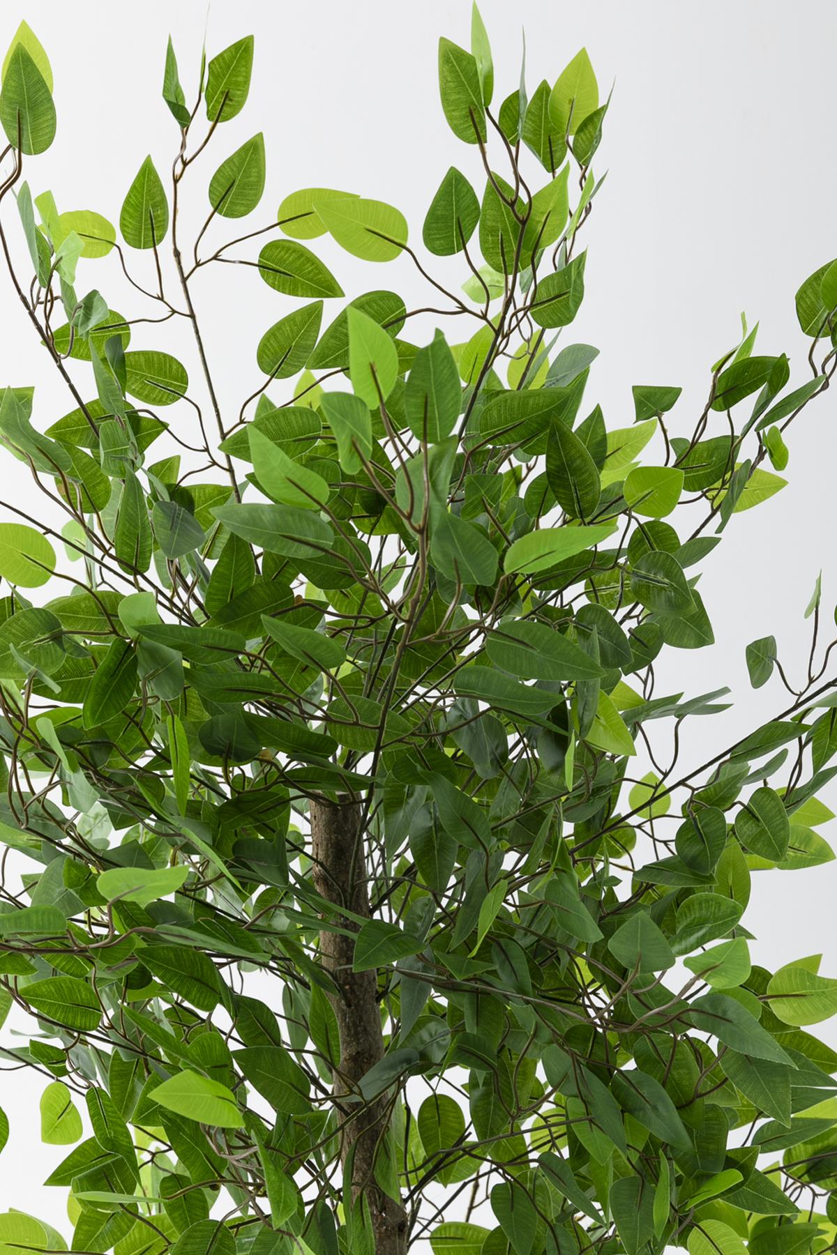 Yapay Benjamin Ağacı 160 Cm 72 Dal