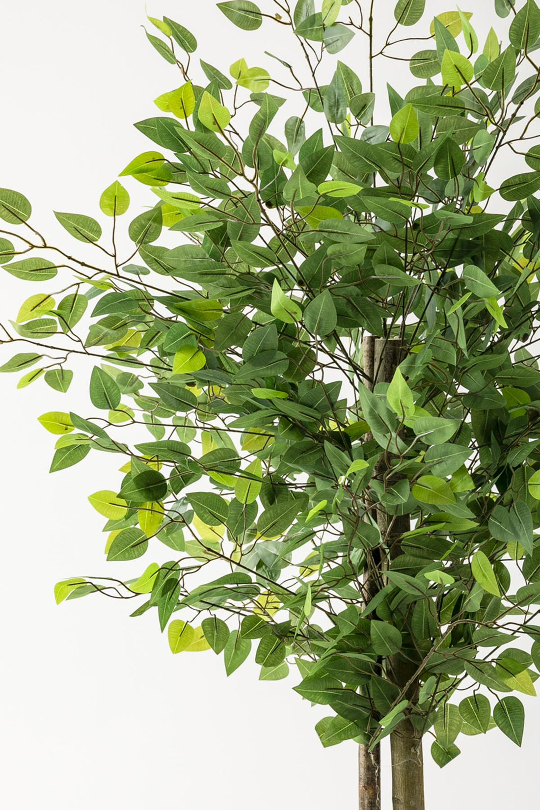 Yapay Benjamin Ağacı 160 Cm Beyaz Gold Metal Saksı