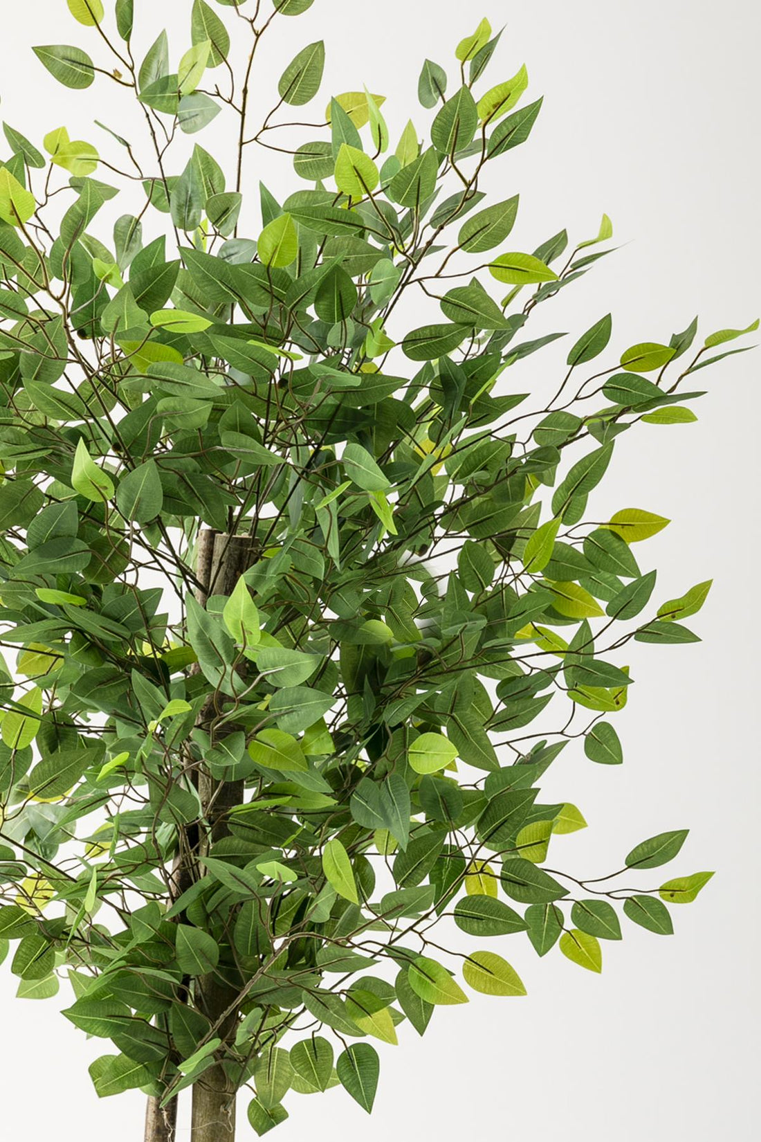 Yapay Benjamin Ağacı 160 Cm Beyaz Gold Metal Saksı