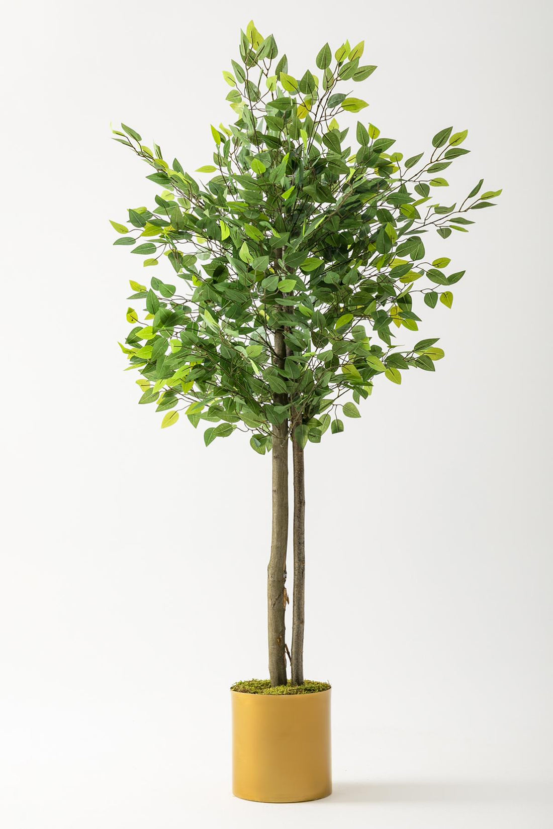 Yapay Benjamin Ağacı 160 Cm Gold Metal Saksı