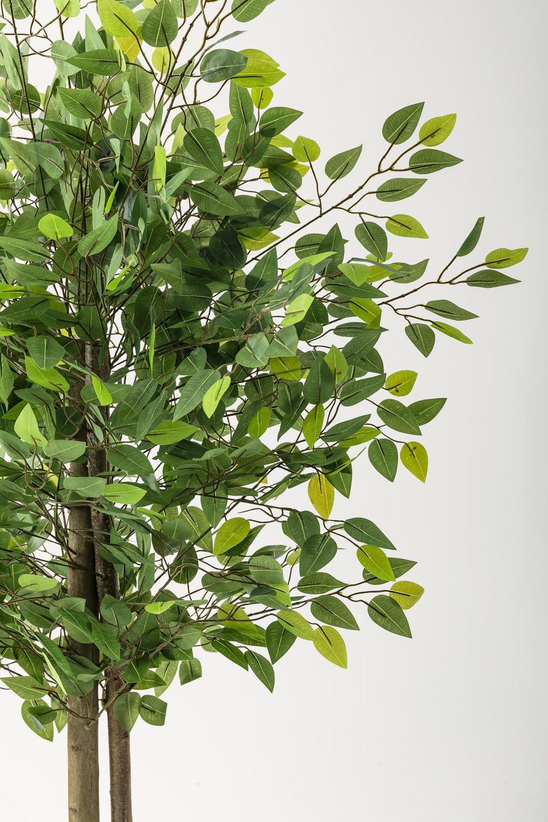 Yapay Benjamin Ağacı 160 Cm Gold Metal Saksı