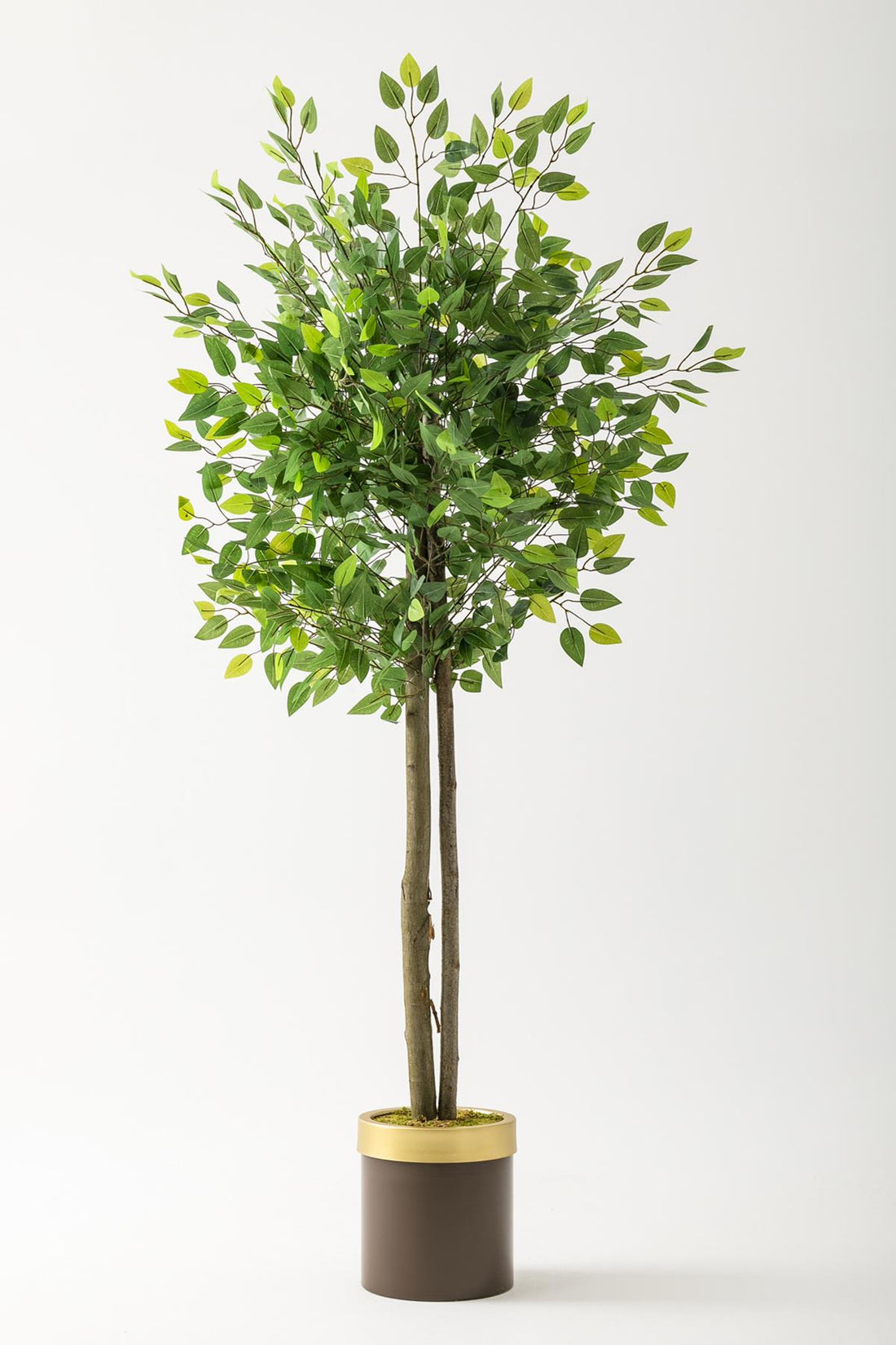 Yapay Benjamin Ağacı 160 Cm Kahverengi Gold Metal Saksı