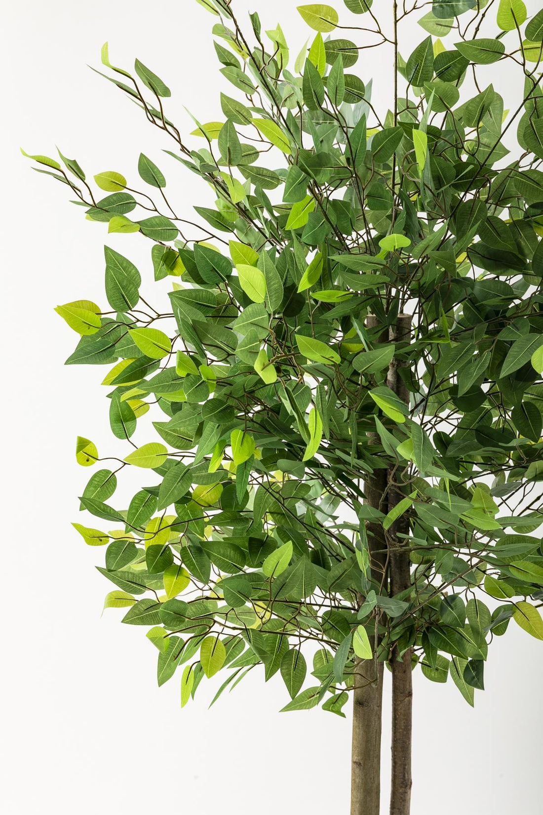 Yapay Benjamin Ağacı 160 Cm Kahverengi Gold Metal Saksı