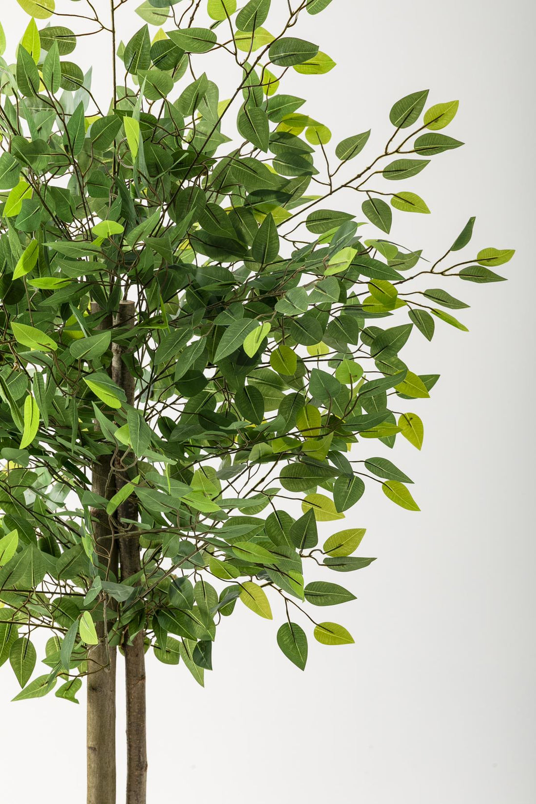 Yapay Benjamin Ağacı 160 Cm Kahverengi Gold Metal Saksı