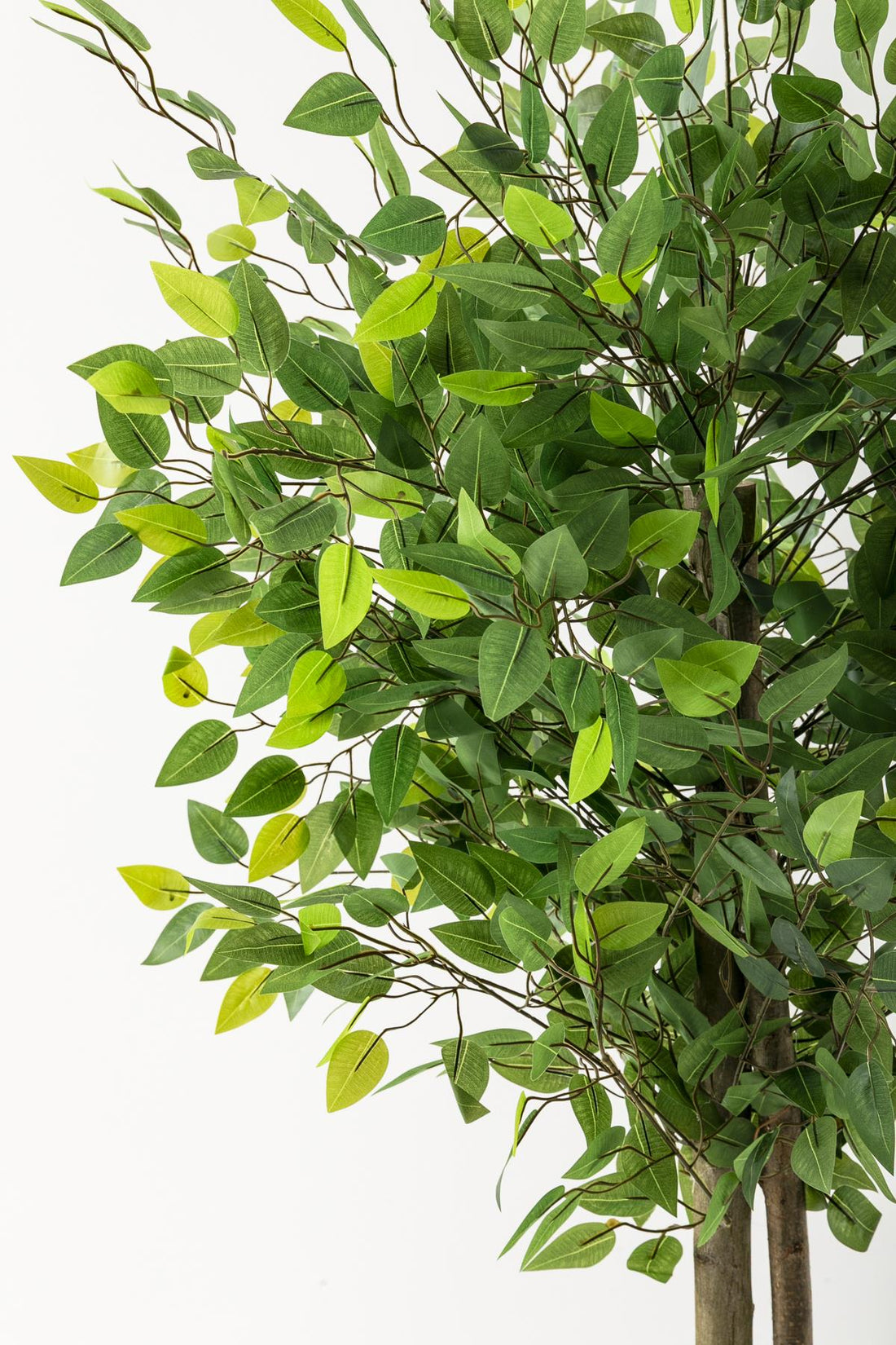 Yapay Benjamin Ağacı 160 Cm Krem Gold Metal Saksı