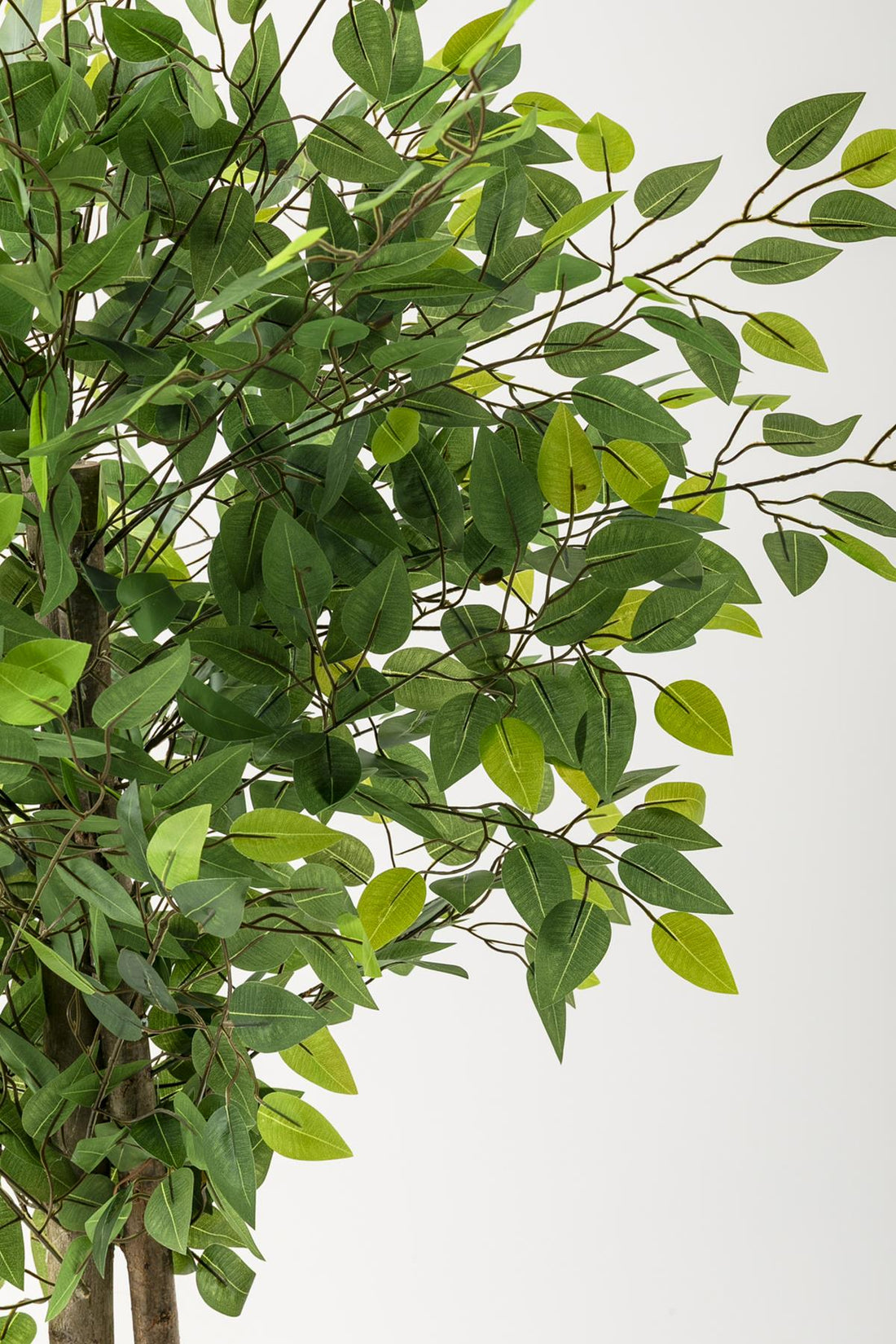 Yapay Benjamin Ağacı 160 Cm Krem Gold Metal Saksı