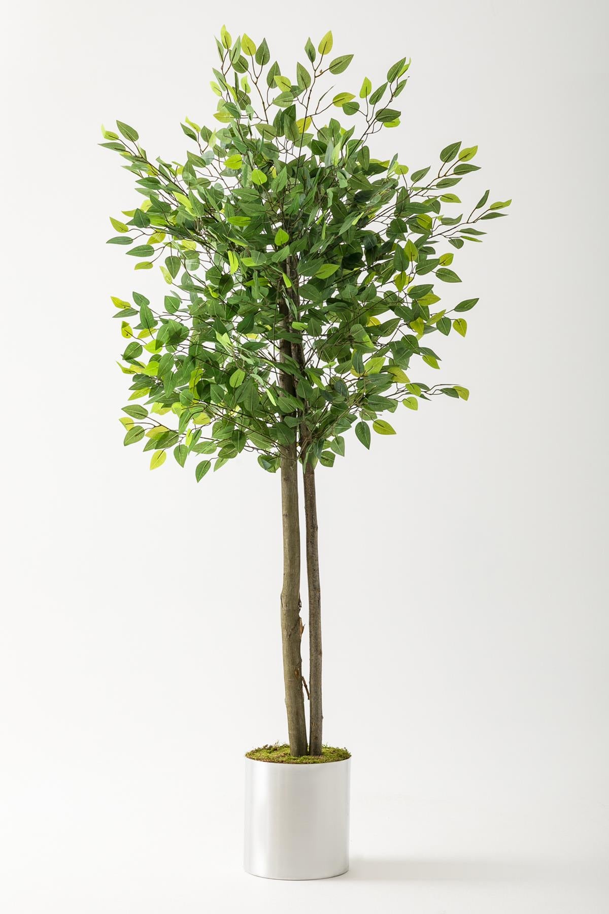 Yapay Benjamin Ağacı 160 Cm Metal Saksı