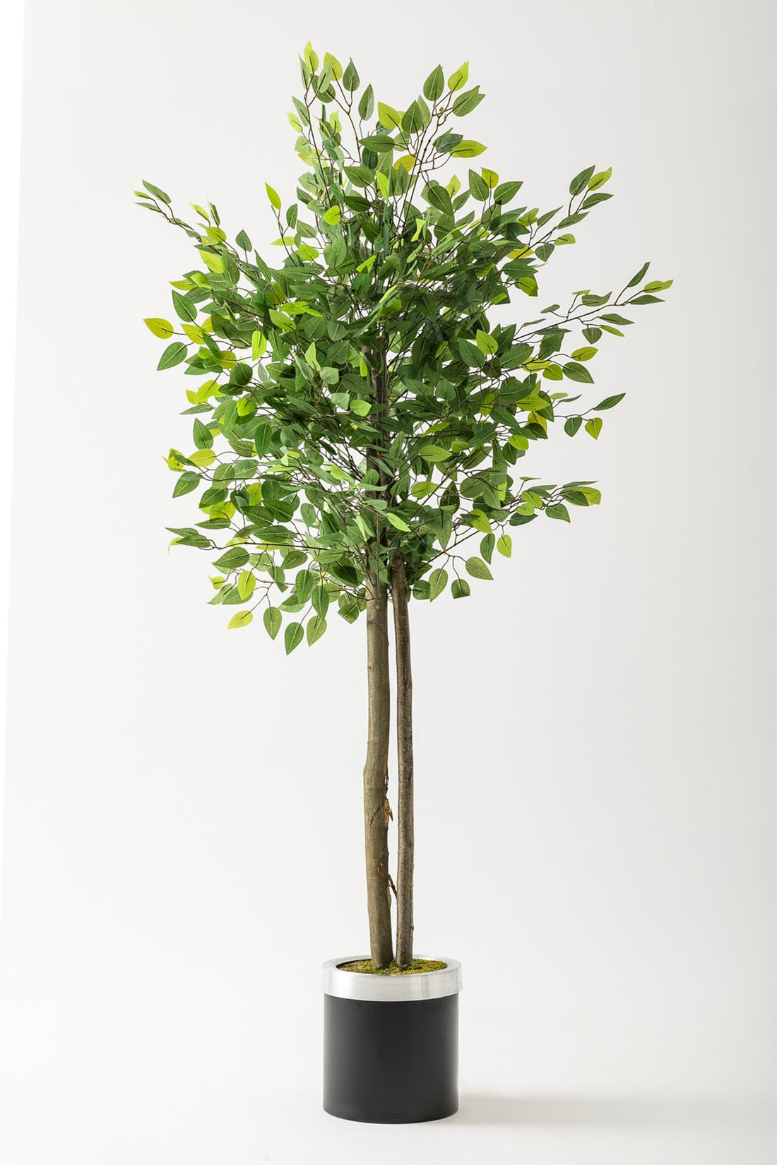 Yapay Benjamin Ağacı 160 Cm Siyah Gümüş Metal Saksı